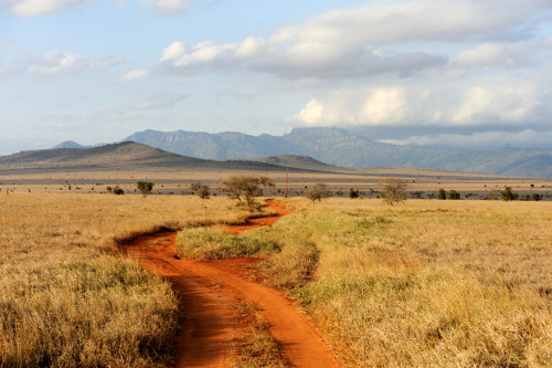 Photo du paysage de la savane dans le parc national du Mont Kenya
