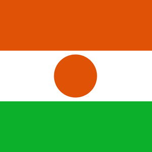 Drapeau de la Niger