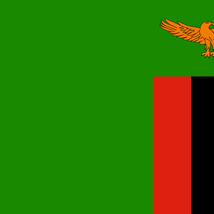 Drapeau de la Zambie