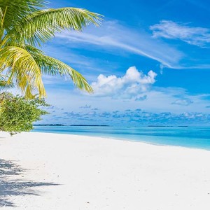 Photo de plage de rêve au Bahamas dans les Caraïbes