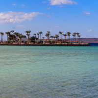 Photo de la mer rouge et de ses palmiers à Hurghada
