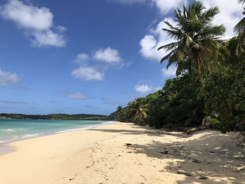 Photo d'une plage de l'île Marie-Galante en Guadeloupe