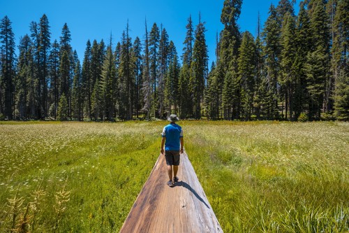 Photo d'un homme marchant dans le parc national de Sequoia en Californie