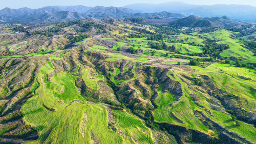 Sublime photo des montagnes de Troodos en Chypre
