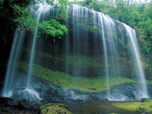 Magnifique photo d'une cascade d'eau à Palau en Micronésie