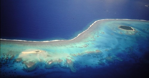 Photo du récif du lagon de Tongatapu au Tonga